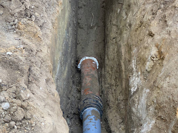 Best Professional water damage repair  in St Ansgar, IA