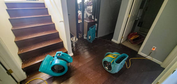 Best 24-hour water damage restoration  in St Ansgar, IA
