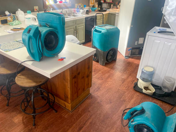 Best Mold removal after water damage  in St Ansgar, IA