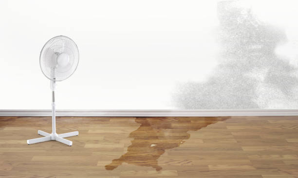 Best Emergency water damage restoration  in St Ansgar, IA