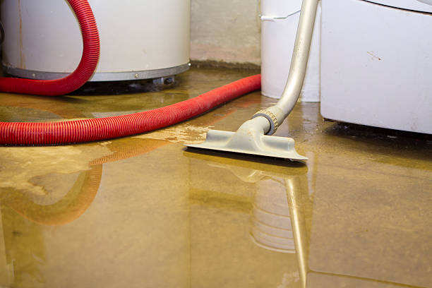 Best Water damage cleanup near me  in St Ansgar, IA