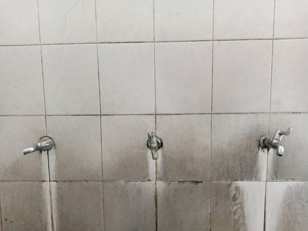 Best Carpet water damage restoration  in St Ansgar, IA