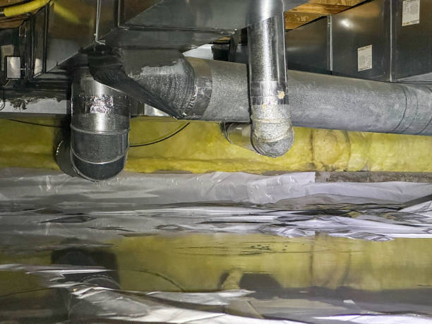 Best Professional water damage repair  in St Ansgar, IA