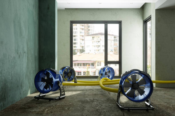 Best Local water damage restoration  in St Ansgar, IA